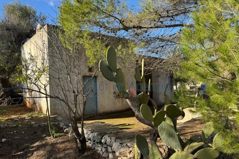 Landejendom i Ostuni, Brindisi, Ostuni - € 53.000 | Ref: 172821 - foto 15